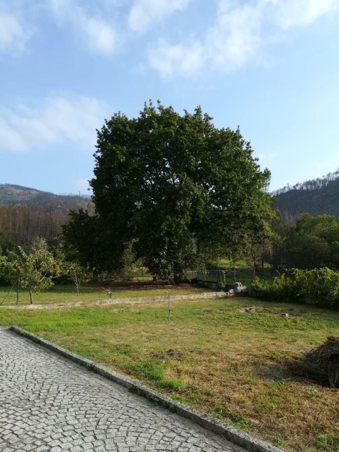 Casa Dos Lacos Viseu Exteriér fotografie